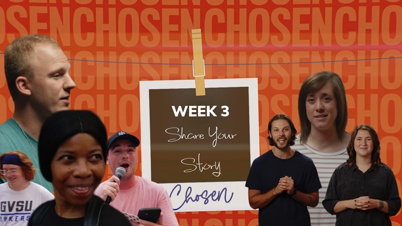 Chosen | Week 3 | NVS Online